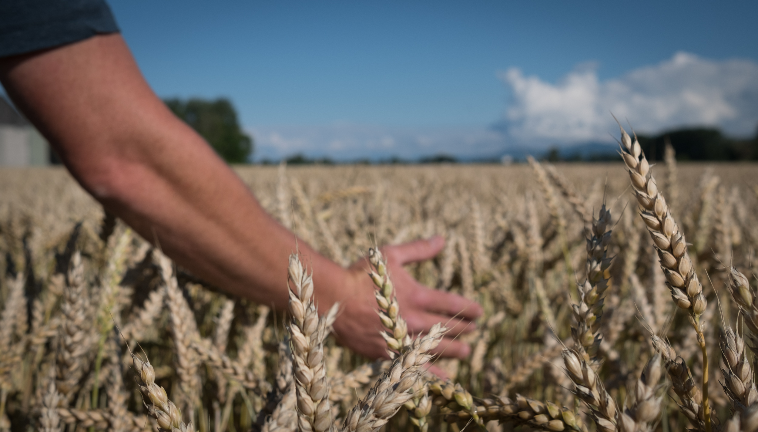 François Bueche Moulin Du Chêne 13
